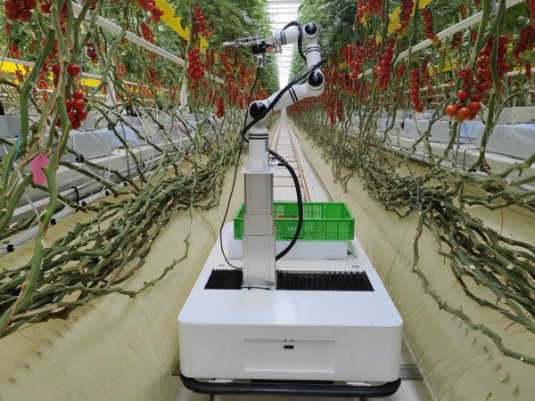 中兴证券 智能无人农场、AI采摘机器人......成都农博会解锁农业前沿“黑科技”