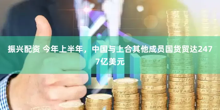 振兴配资 今年上半年，中国与上合其他成员国货贸达2477亿美元