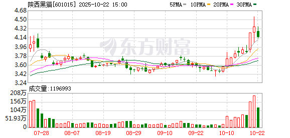 嗨牛股票 陕西黑猫：关于补选公司董事的公告